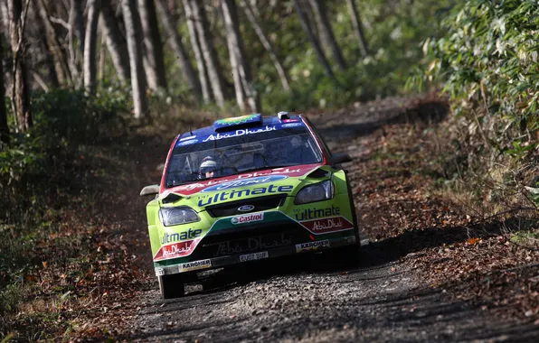Картинка Ford, Focus, WRC