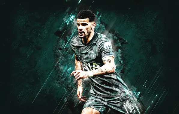 Football, Sport, Soccer, Tottenham, Spurs, Tottenham Hotspur, Dominic Solanke, Solanke