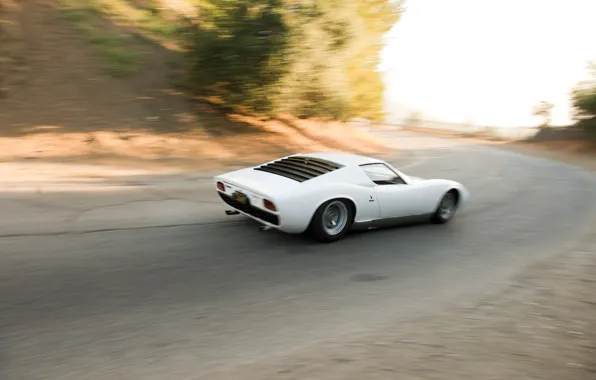 Lamborghini, 1969, white, Miura, Lamborghini Miura P400 S