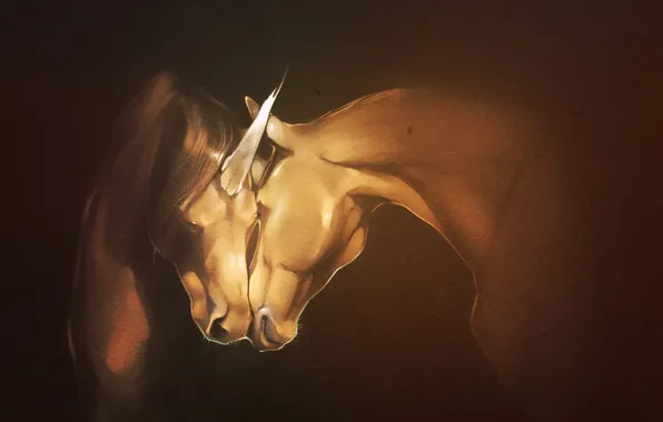 Картинка конь, арт, Единорог, рог