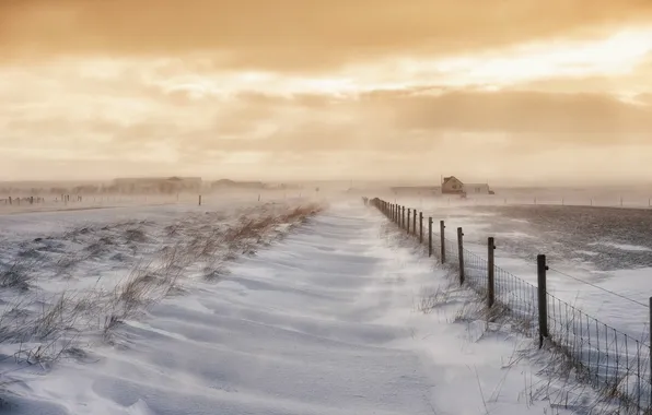 Картинка поле, снег, Исландия