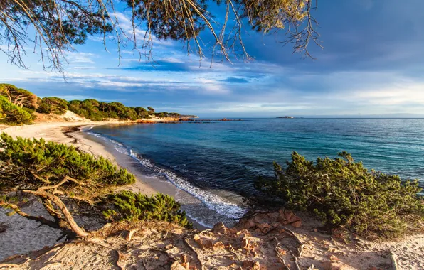 Картинка песок, море, зелень, пляж, небо, солнце, облака, деревья
