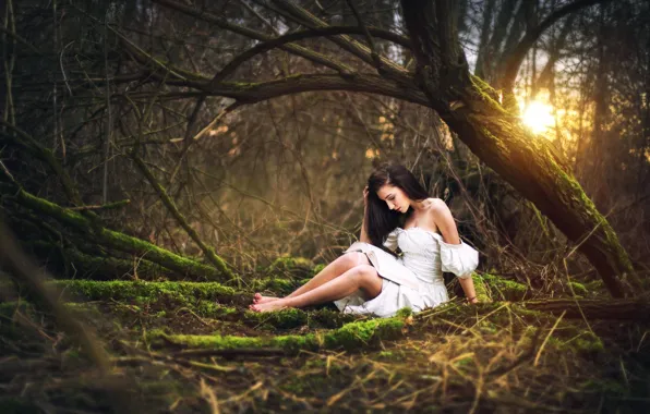 Картинка лес, девушка, платье, ножки, Marketa Novak
