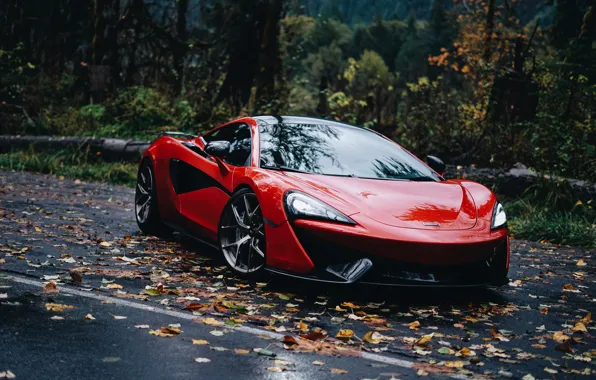 Макларен, красный цвет, иномарка, McLaren 570S, жёлтые листья