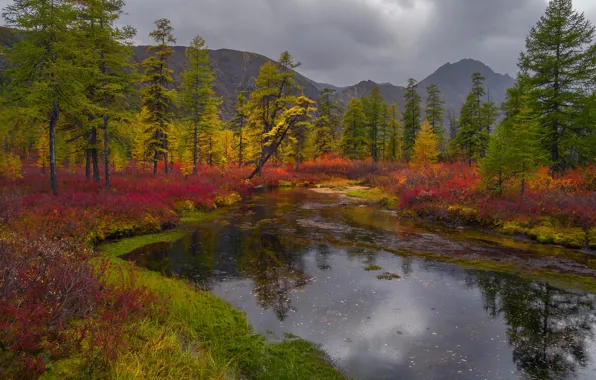 Картинка осень, трава, деревья, пейзаж, горы, тучи, природа, берега
