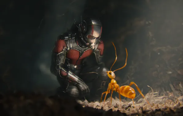 Картинка муравей, костюм, шлем, супергерой, комикс, Марвел, Ant-man, Человек-муравей