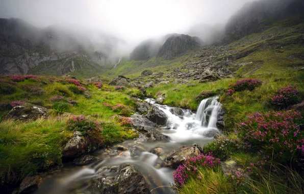Картинка горы, туман, ручей, Англия, долина, England, Уэльс, Wales