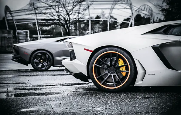 Картинка Lamborghini, Reventon, Style, White, Tuning, Aventador, Body VS