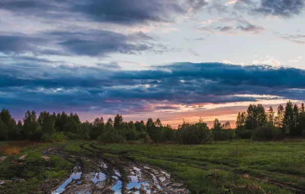 Дорога, лето, небо, облака, деревья, закат, Васильев Владимир