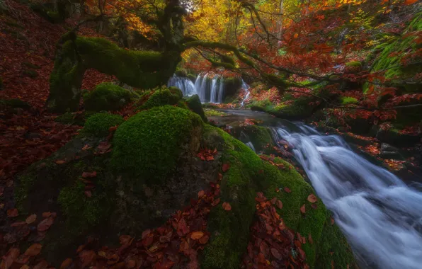 Картинка осень, лес, деревья, река, водопад, мох, склон, Испания