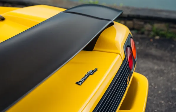 Картинка Lamborghini, Diablo, 1998, badge, rear wing, Lamborghini Diablo SV Roadster