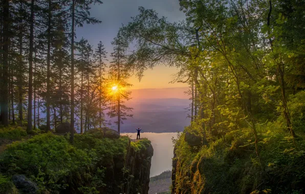 Картинка лес, солнце, деревья, закат, горы, озеро, камни, скалы