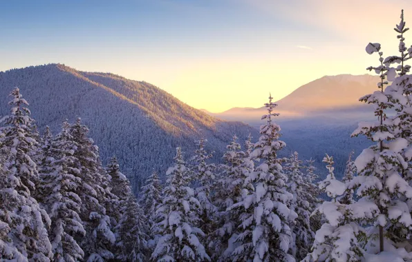 Зима, небо, снег, деревья, горы, природа, пейзажи