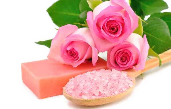 Картинка розы, pink, flowers, roses, spa, salt