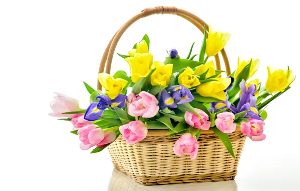 Корзина, тюльпаны, flowers, tulips, bouquet, basket
