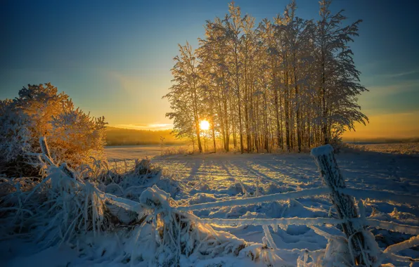 Картинка зима, солнце, снег, деревья, восход, утро, покосившийся забор