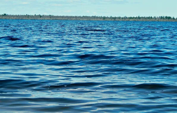 Вода, солнце, озеро, горизонт, синее, июнь, 2014, Ноябрьск