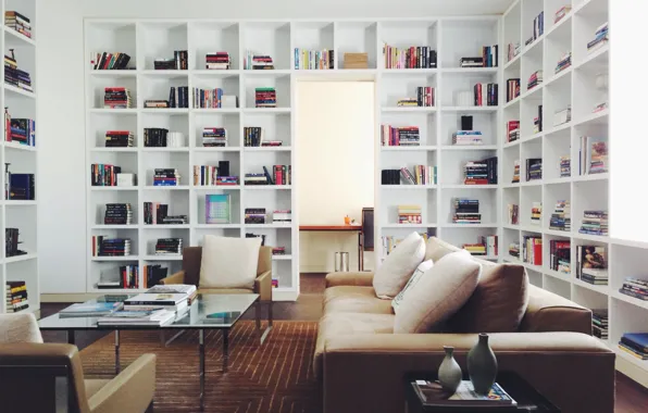 Sofa, books, carpet, reading room