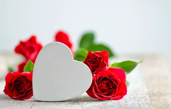 Сердце, розы, день Святого Валентина