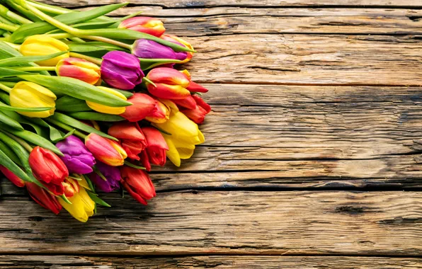 Картинка цветы, букет, весна, colorful, тюльпаны, fresh, wood, flowers