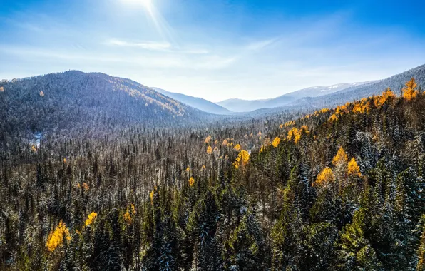 Картинка осень, склоны, горы, лес