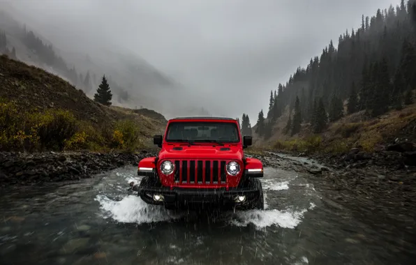 Вода, красный, дождь, пасмурно, 2018, Jeep, Wrangler Rubicon