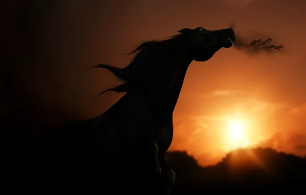 Картинка небо, взгляд, закат, рендеринг, лошадь, тень