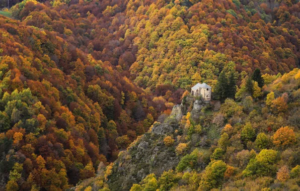 Осень, лес, горы, замок, высота, руины