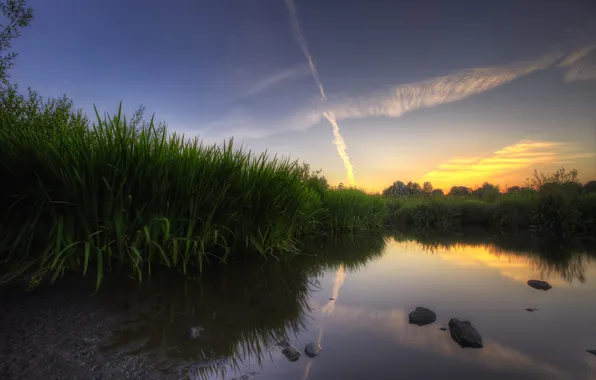 Картинка трава, закат, озеро, отражение, болото