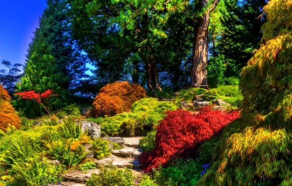Картинка деревья, обработка, сад, Великобритания, кусты, Sizergh Castle Garden