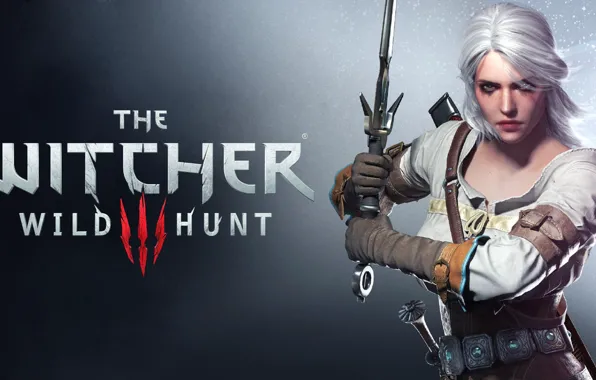 Девушка, меч, Меч, The Witcher, CD Projekt RED, The Witcher 3: Wild Hunt, Ведьмак 3: …