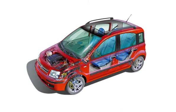 Car, cutaway, fiat panda