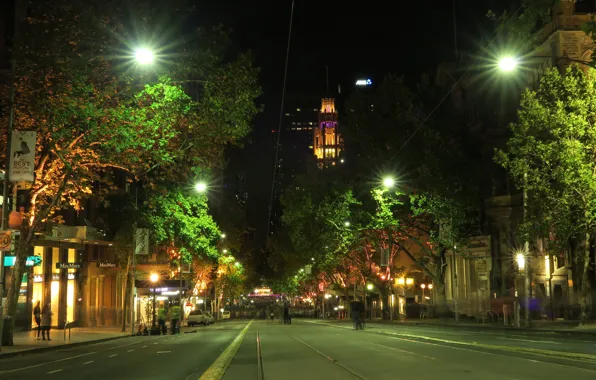 Картинка деревья, ночь, огни, улица, дома, Австралия, Мельбурн