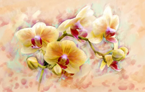 Картинка цветок, арт, формы, орхидеи, flower, orchid, цветочек, красотой.