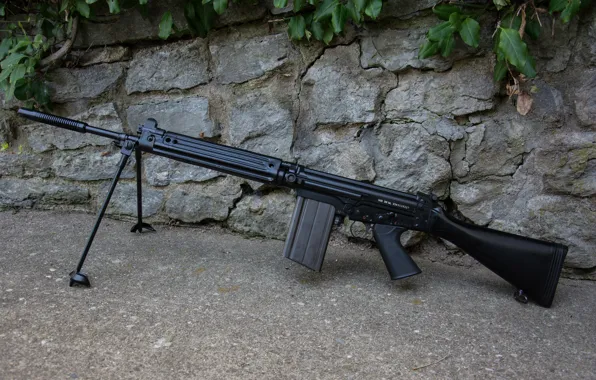 Стена, винтовка, автоматическая, FN FAL, (STG58)