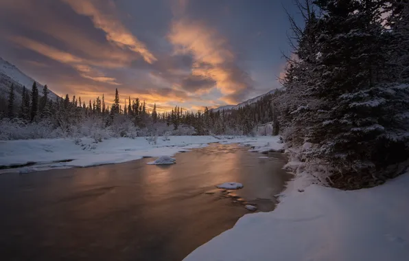 Зима, лес, небо, снег, река, Канада, Canada, Yukon