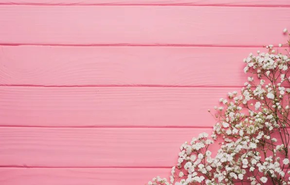 Цветы, фон, дерево, розовый, texture, pink, flowers, background