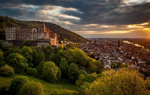 Деревья, замок, Германия, панорама, Germany, Баден-Вюртемберг, Baden-Württemberg, Heidelberg