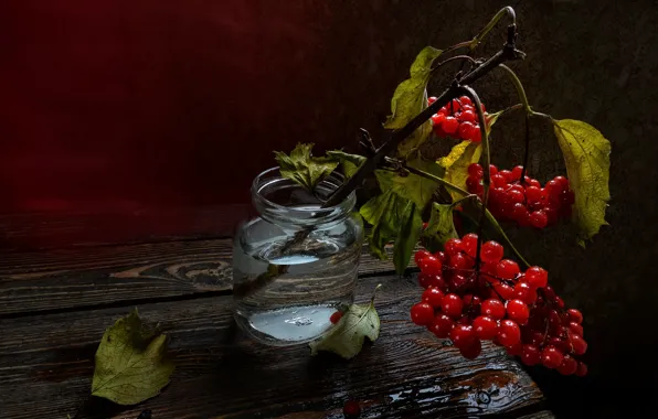 Ягоды, букет, натюрморт, калина