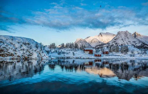 Картинка зима, море, снег, пейзаж, горы, природа, дома, деревня
