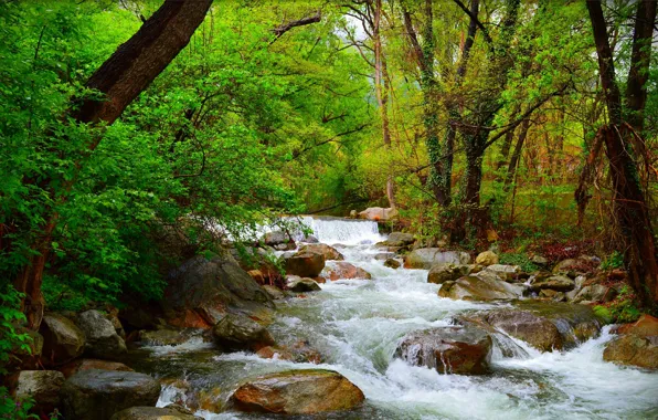 Картинка река, Зелень, Природа, Поток, Весна, Водопад, Камни, Nature