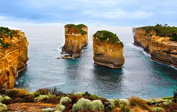 Картинка coast, rocks, island, bushes