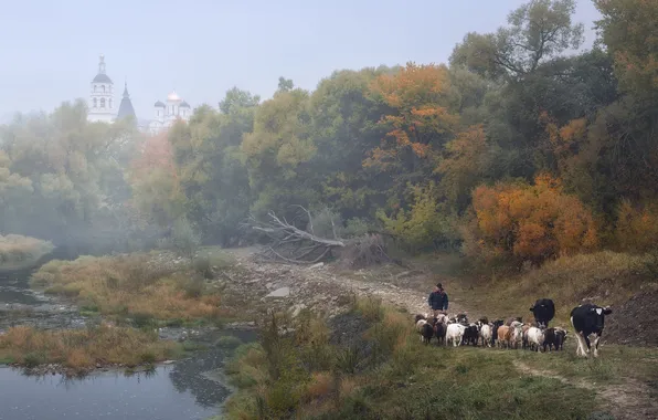 Картинка пейзаж, туман, церковь, Анна Политова