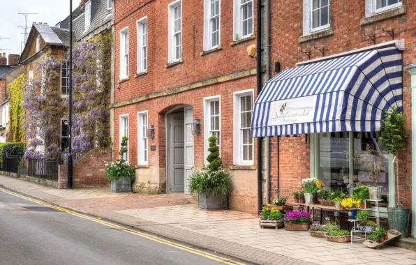 Цветы, дом, улица, Англия, England, Shipston on Stour
