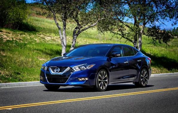 Nissan, синяя, ниссан, максима, 2015, Maxima
