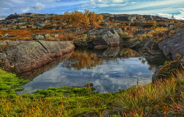 Осень, трава, озеро, камни, холмы, деревце