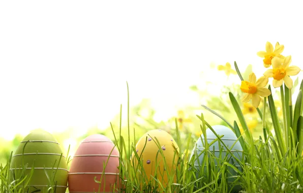 Картинка цветы, яйца, весна, Пасха, flowers, spring, Easter, eggs