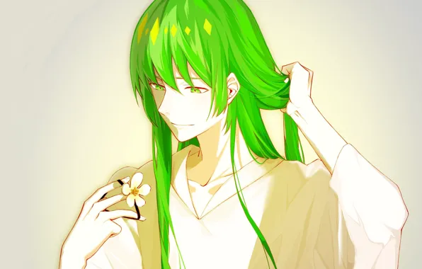 Парень, Enkidu, Fate strange fake
