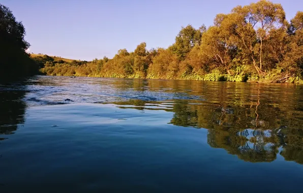 Река, Карпаты, Стрый