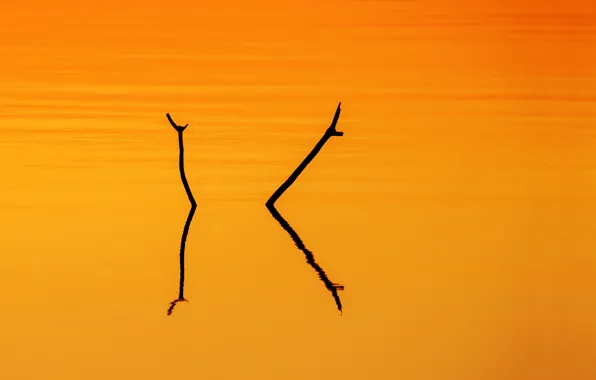 Ночь, река, цвет